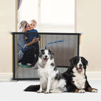Portable Palladium Security Gate