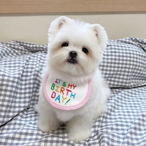 Babador Pet Birthday