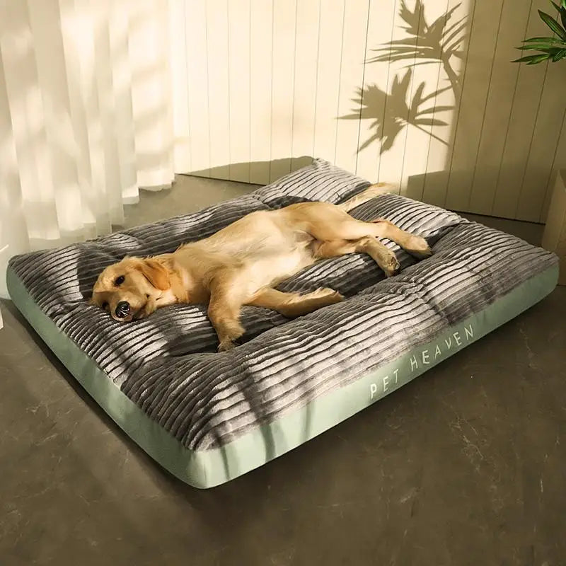 Cama Para Cachorro Grande Kansas