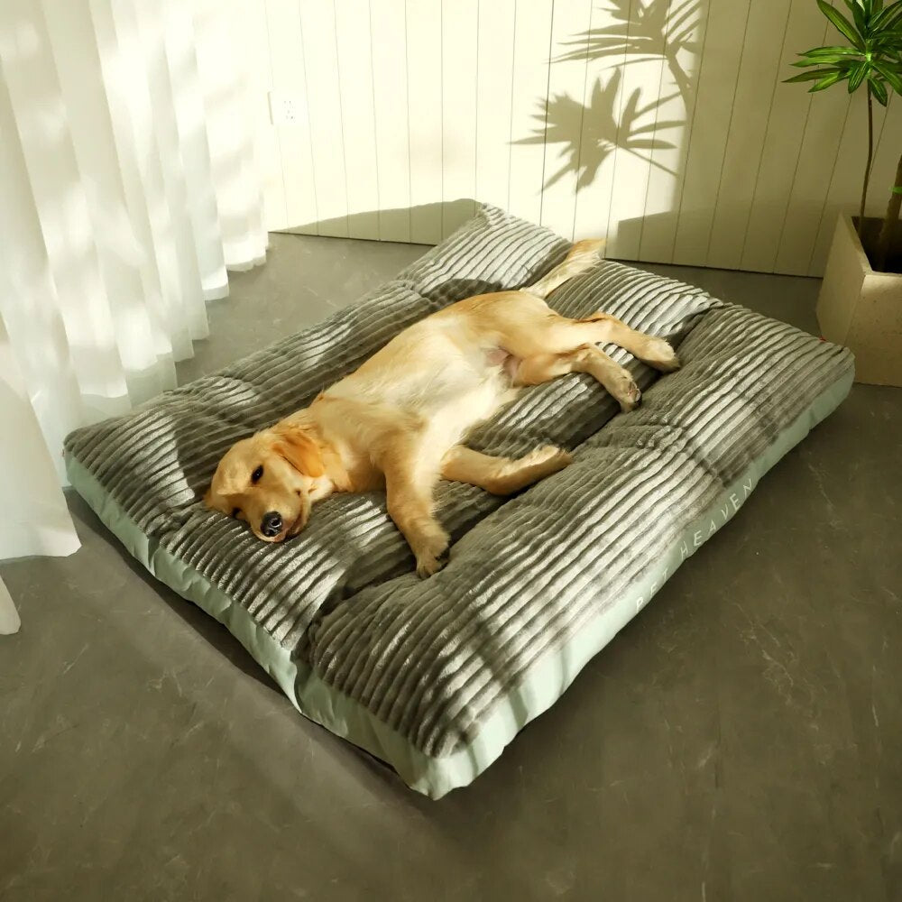 Cama Para Cachorro Grande Kansas