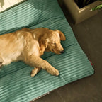 Cama Para Cachorro Grande Kansas
