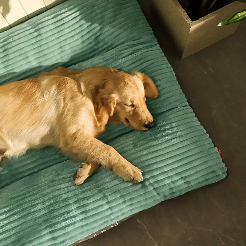 Cama Para Cachorro Grande Kansas