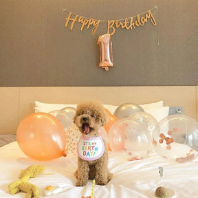 Babador Pet Birthday