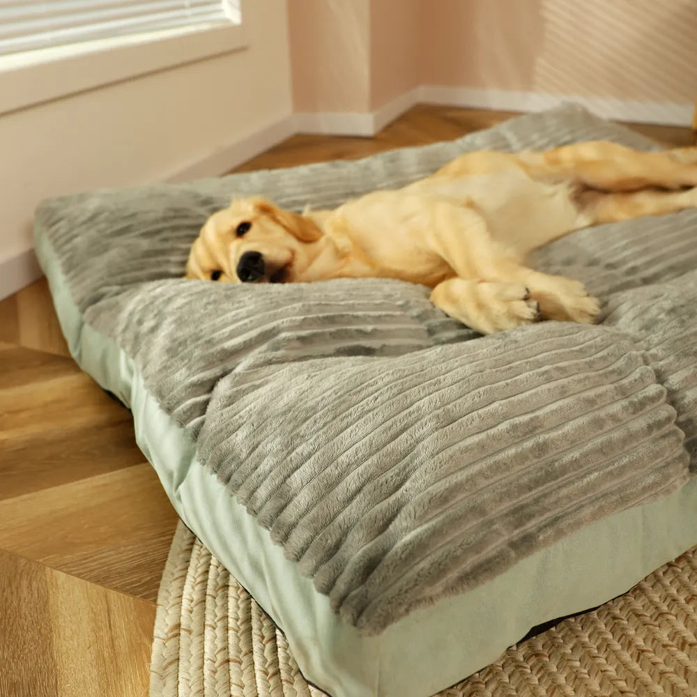 Cama Para Cachorro Grande Kansas
