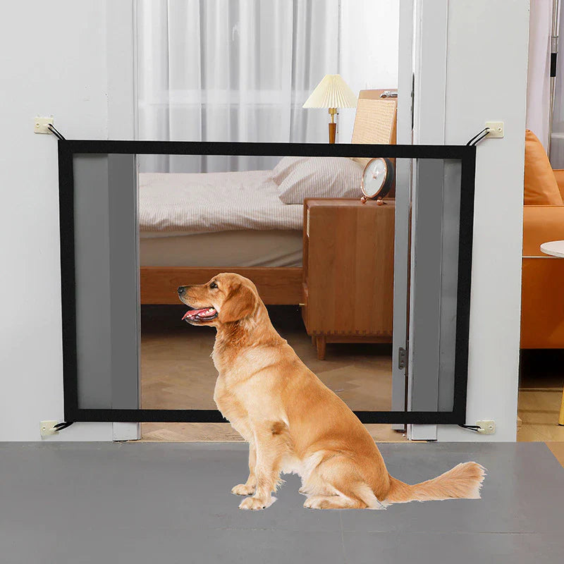 Portable Palladium Security Gate