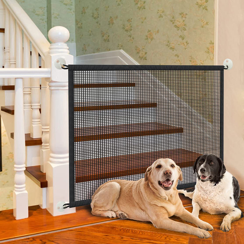 Portable Palladium Security Gate