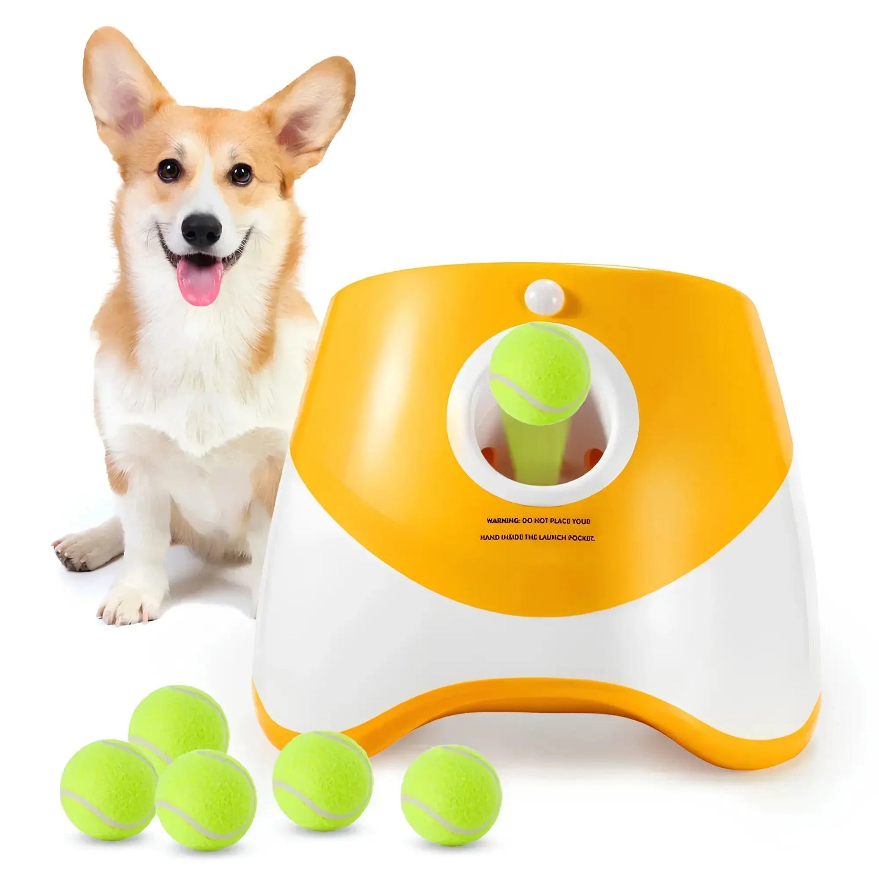 Lançador De Bola Automático Para Pet