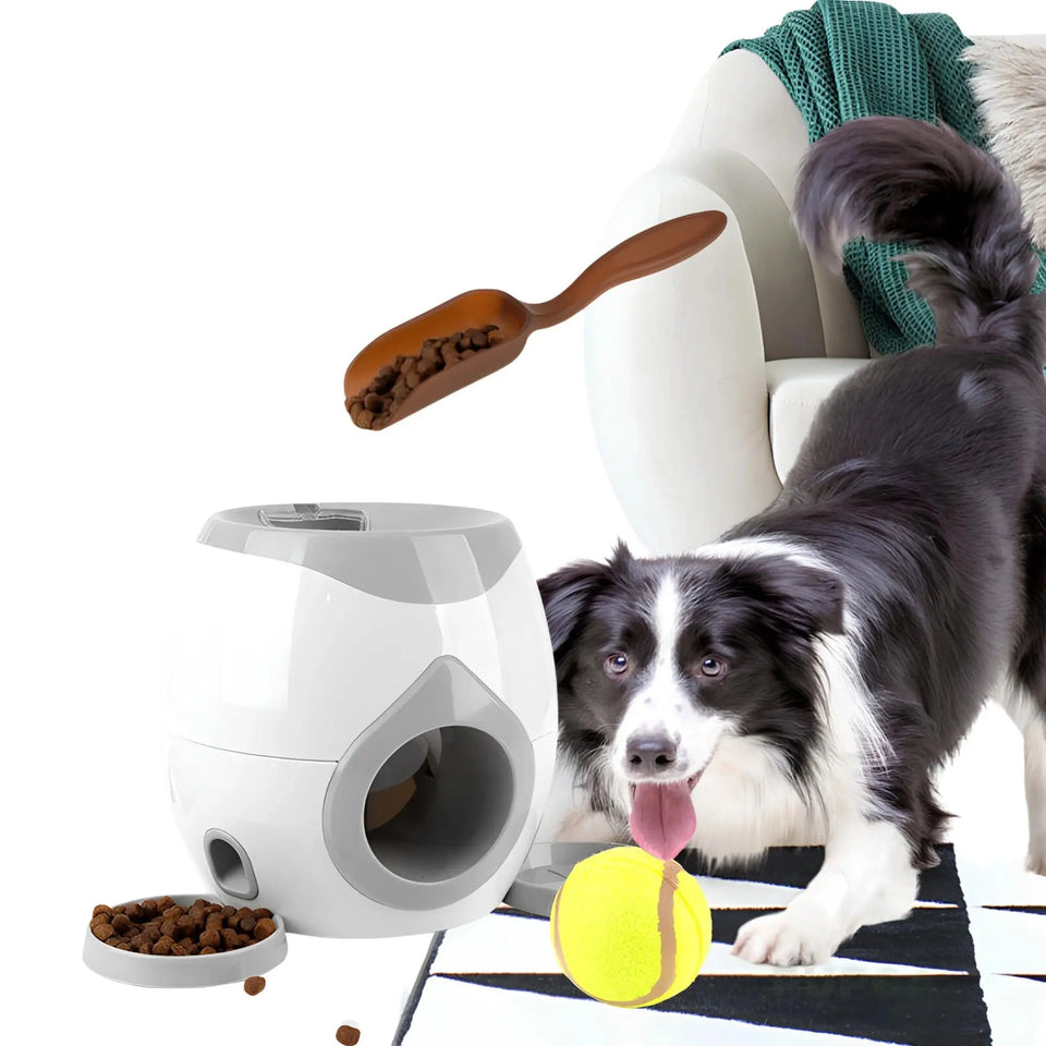 Ball Launcher with Automatic Food Reward 