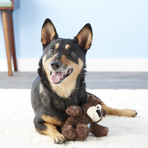 Brinquedo Pelúcia Kong Wild Bear - Urso de Pelúcia com corda Indestrutível