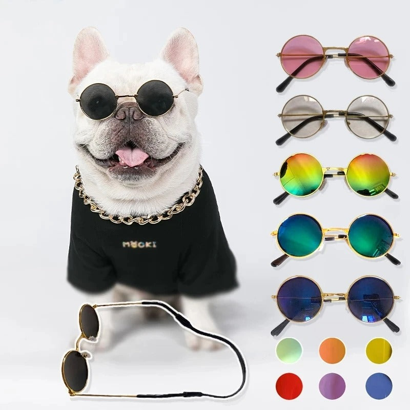 Óculos para pet