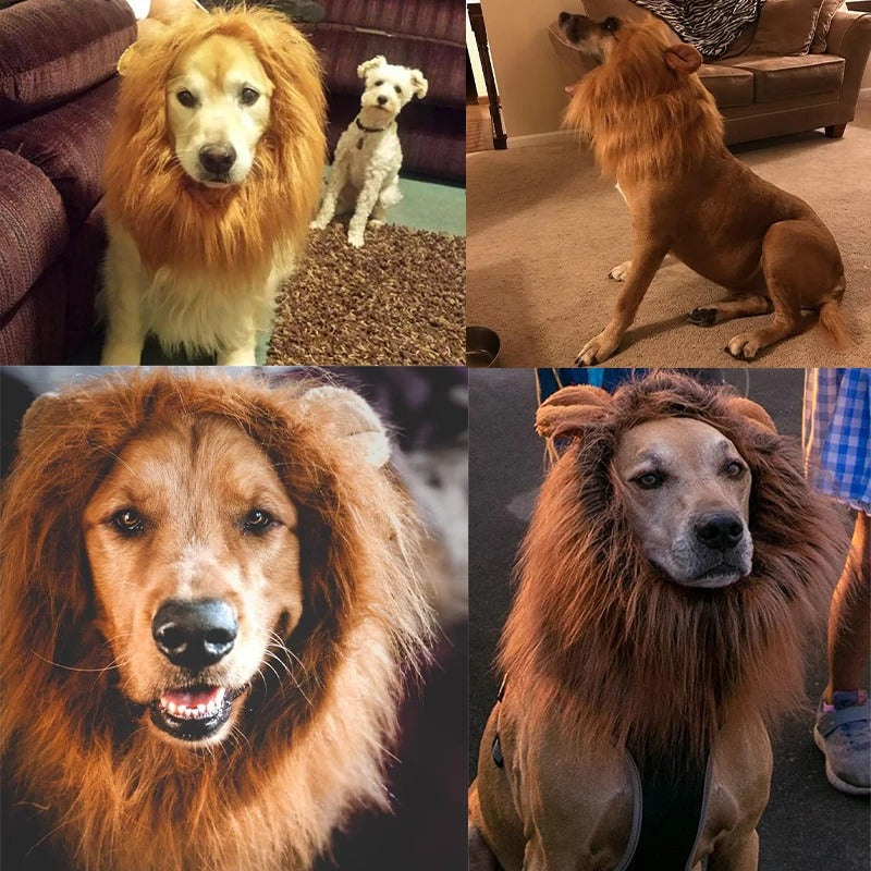 Fantasia Lion Pet
