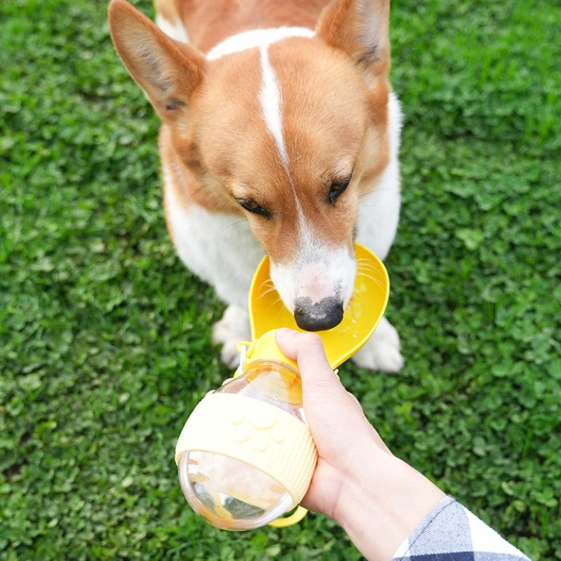 Garrafinha de Água Dog Lux