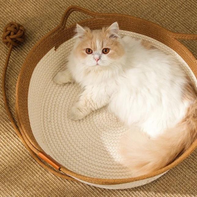 Cama Cesto Cat