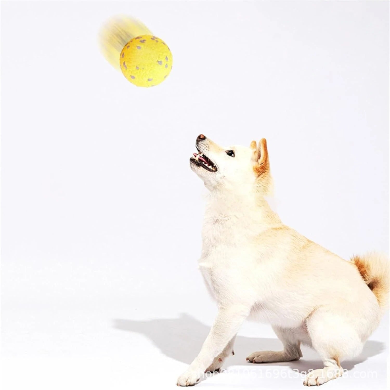 Bola Anti-Stress Pet Coleção Strong