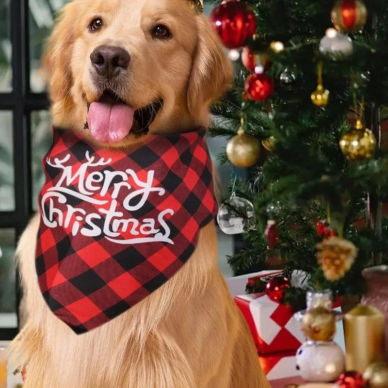 Kit Bandana e Chapéu Merry Christmas