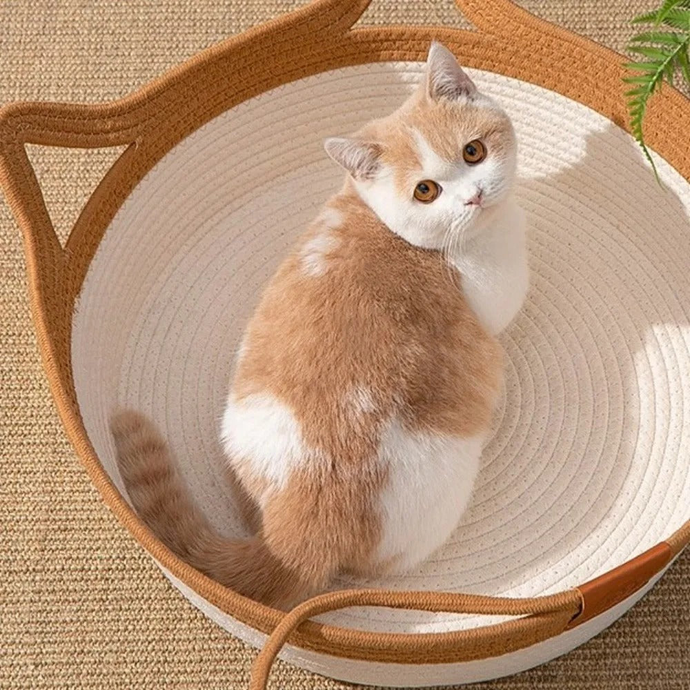 Cama Cesto Cat