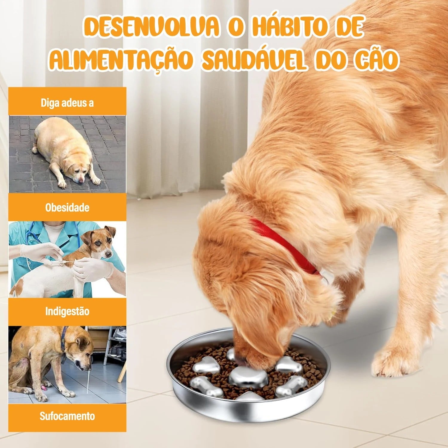 Comedouro Lento 2 em 1