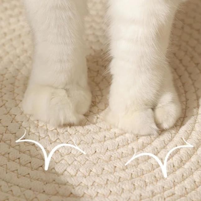 Cama Cesto Cat