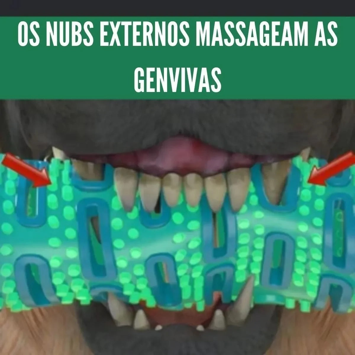 Mordedor Escova de Dente Dogs-Chewbrush