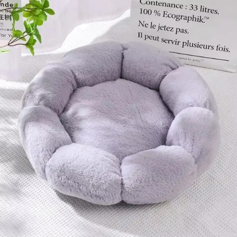 Cama Pétala para Gato