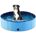 Swimming Pool Pet Club