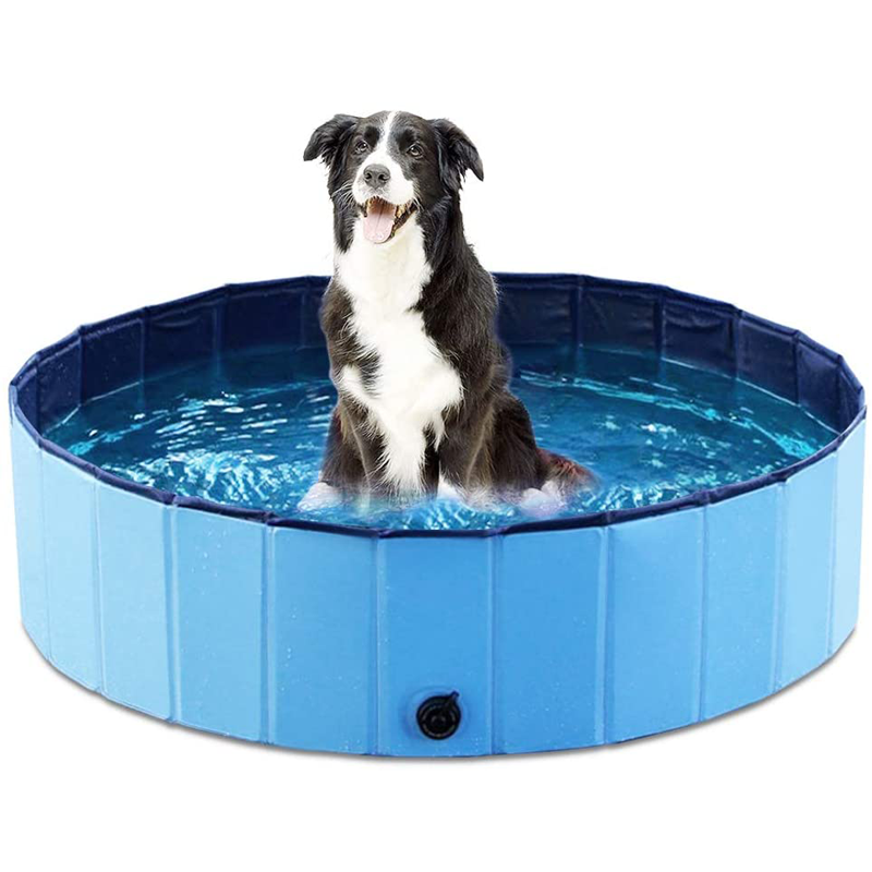 Swimming Pool Pet Club
