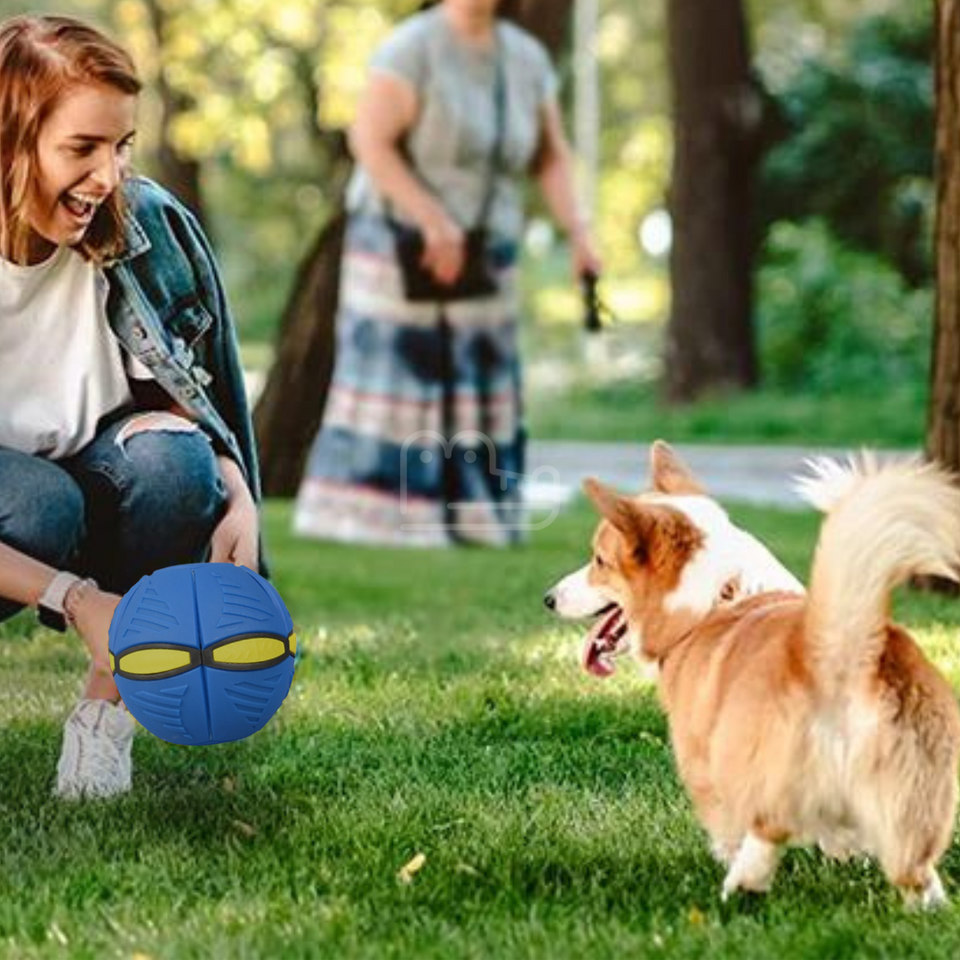 AeroCroc™ Premium Flying Ball Toy - 2023 Release