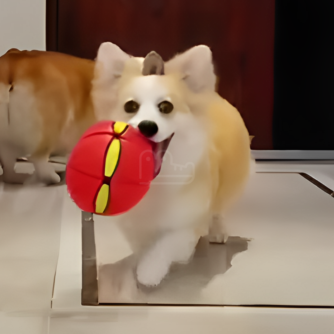 AeroCroc™ Premium Flying Ball Toy - 2023 Release