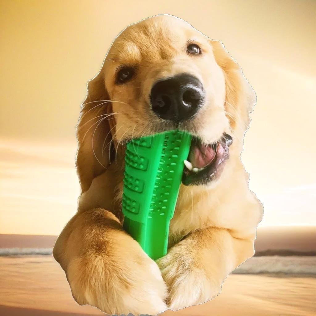 Dog Chew Toy - LimpaDente™