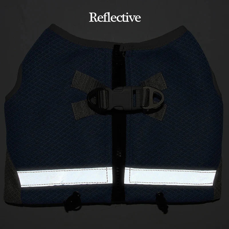 Coleira Refrescante para Cachorro com Proteção UV e Faixa Reflexiva