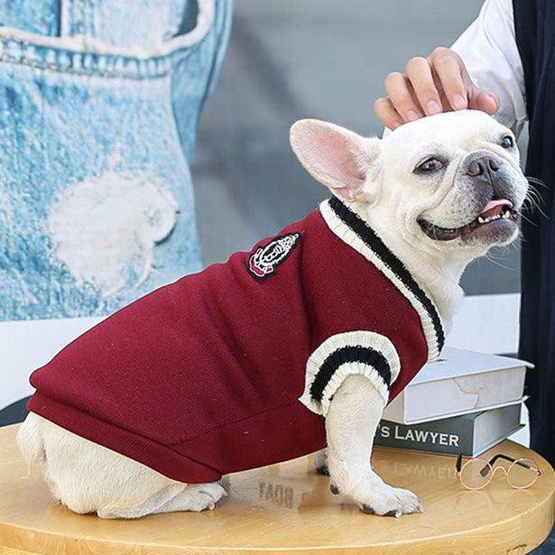 Roupa para Cachorro e Gato - Sueter