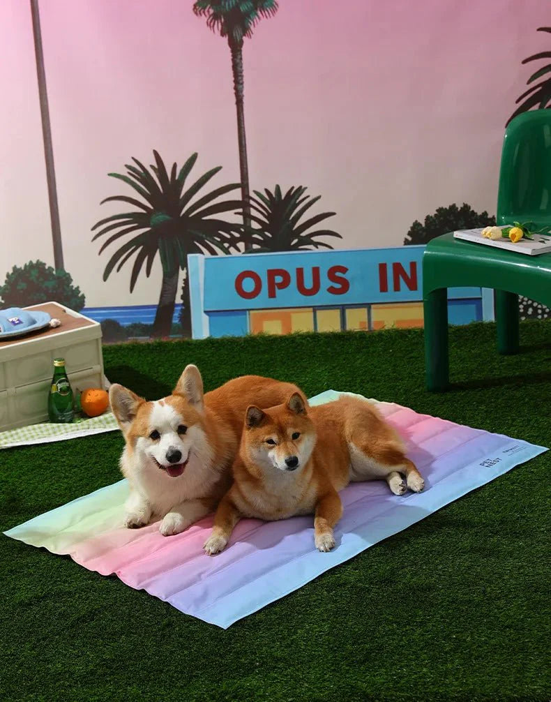 Tapete Gelado PetGel Fresh