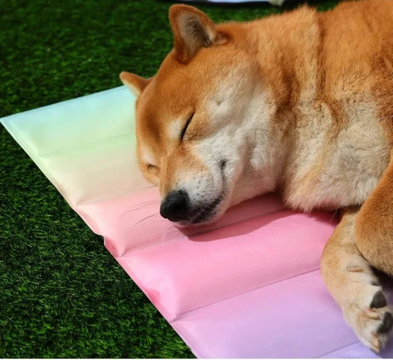 Tapete Gelado PetGel Fresh