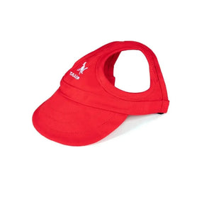 Boné para cachorro Tailup