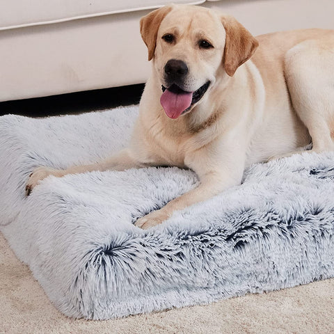 Cama para Cachorro Nuvem Plus Size - Pet Croc 