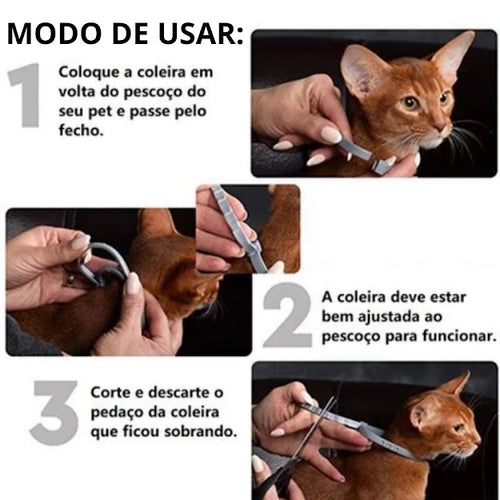 Coleira Antipulga Controle de pulgas e carrapatos