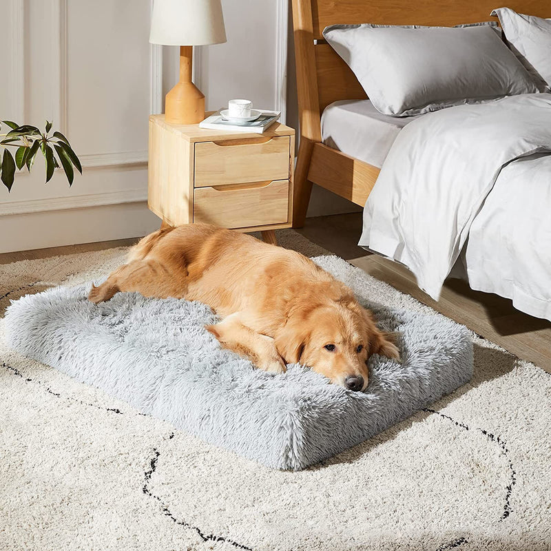 Cama para Cachorro Grande Nuvem Plus Size