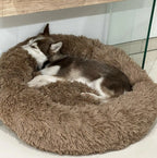 cama redonda de pelinho nuvem para pet