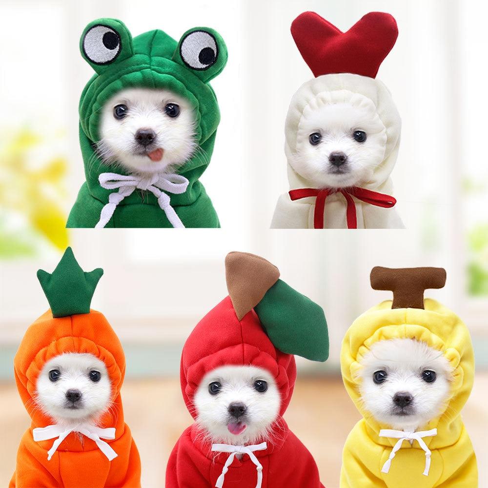 pet halloween costumes  pet costumes  funny halloween costumes  fun costumes  dog halloween costume  pet costumes for dogs  funny dog halloween costumes  funny dog costumes  dogs in halloween costumes  dogs in costumes  dog costume  sweater puppy  sweater trendy  dog sweatshirts  cat christmas sweater  sweatshirt cat  cat sweater  puppy clothes  clothes for pet  matching clothes with dog  dogs in clothes  dog clothes  dog clothes near me  dog clothes designer