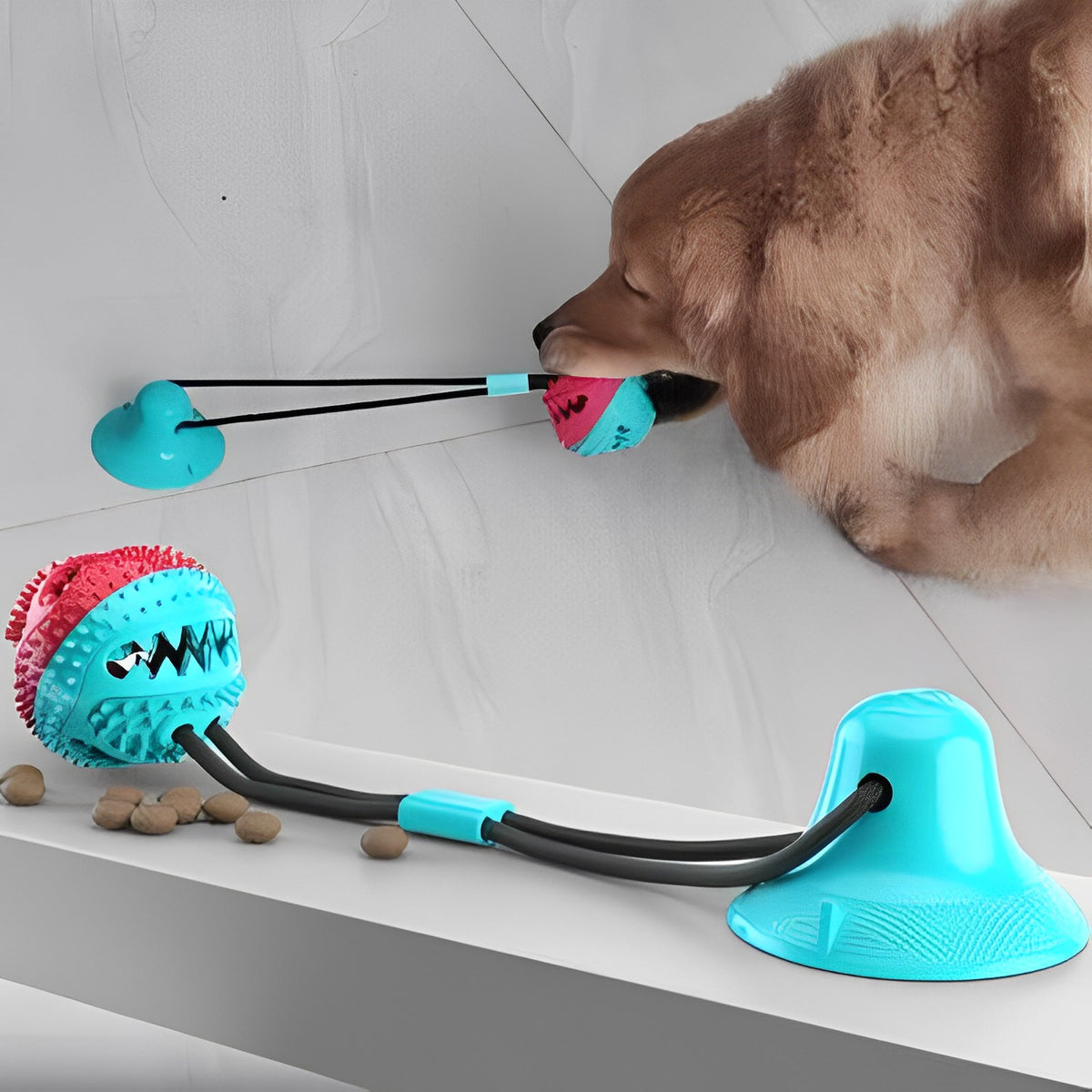 VentosaDog™: Brinquedo Interativo com Ventosa para Cães - Pet Croc 