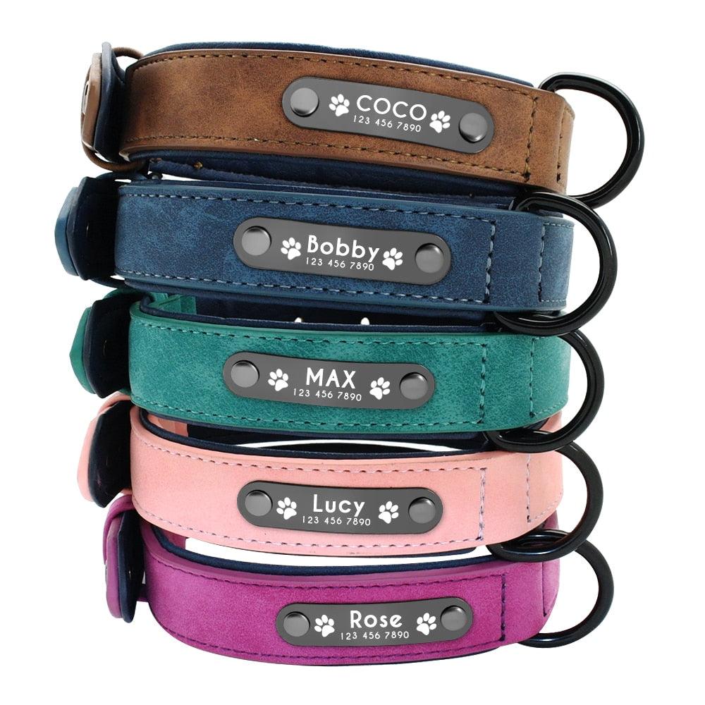 pet store near me  pet shop near me  dog care training collar  cat collar  tag dog  pet tags  pet name tags  pet id tags  personalized dog tags  dog tags for pets  dog tags for dogs  dog tag engraving  dog name tags  dog id tags  custom dog tags for pets  custom dog tags  cat name tag  cat id tags  dog name collar  dog collar with name tag  collar dog