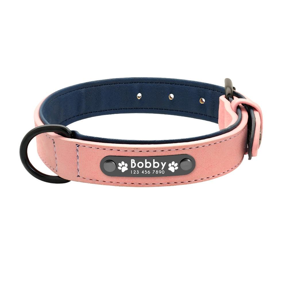 pet store near me  pet shop near me  dog care training collar  cat collar  tag dog  pet tags  pet name tags  pet id tags  personalized dog tags  dog tags for pets  dog tags for dogs  dog tag engraving  dog name tags  dog id tags  custom dog tags for pets  custom dog tags  cat name tag  cat id tags  dog name collar  dog collar with name tag  collar dog