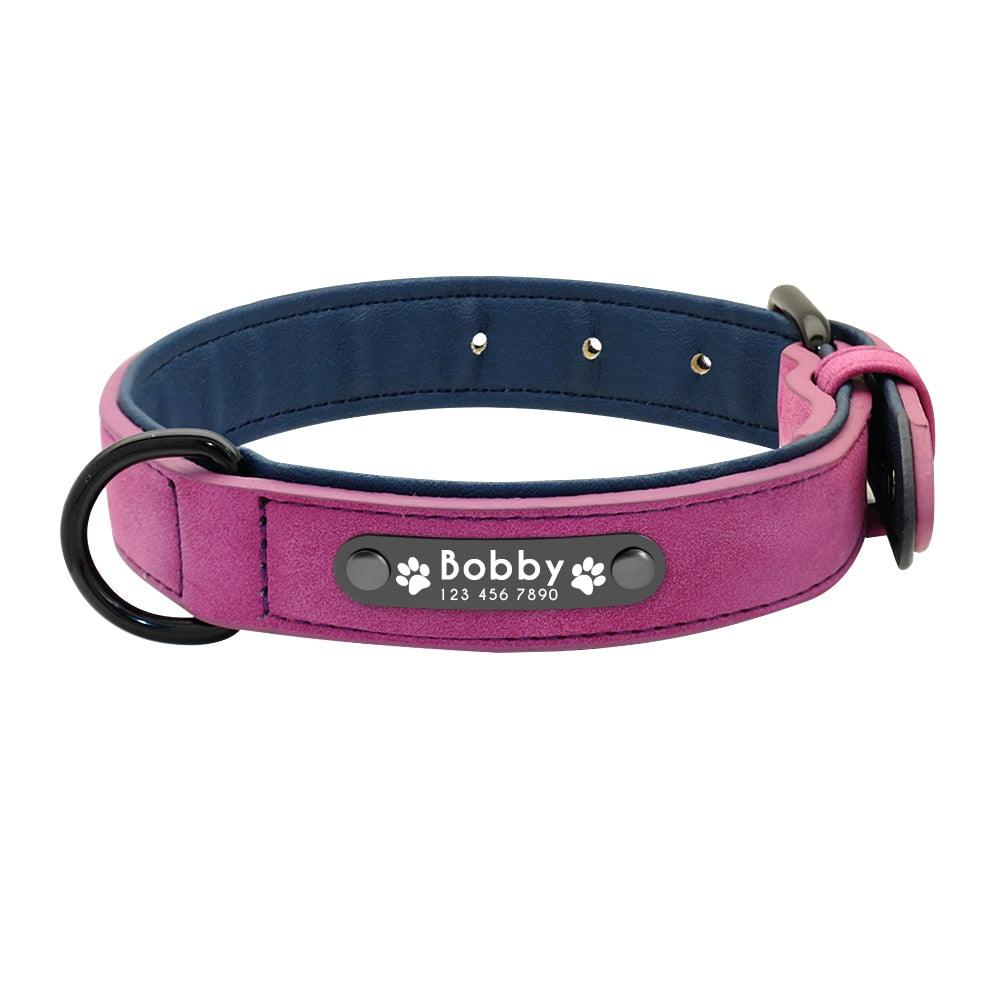 pet store near me  pet shop near me  dog care training collar  cat collar  tag dog  pet tags  pet name tags  pet id tags  personalized dog tags  dog tags for pets  dog tags for dogs  dog tag engraving  dog name tags  dog id tags  custom dog tags for pets  custom dog tags  cat name tag  cat id tags  dog name collar  dog collar with name tag  collar dog