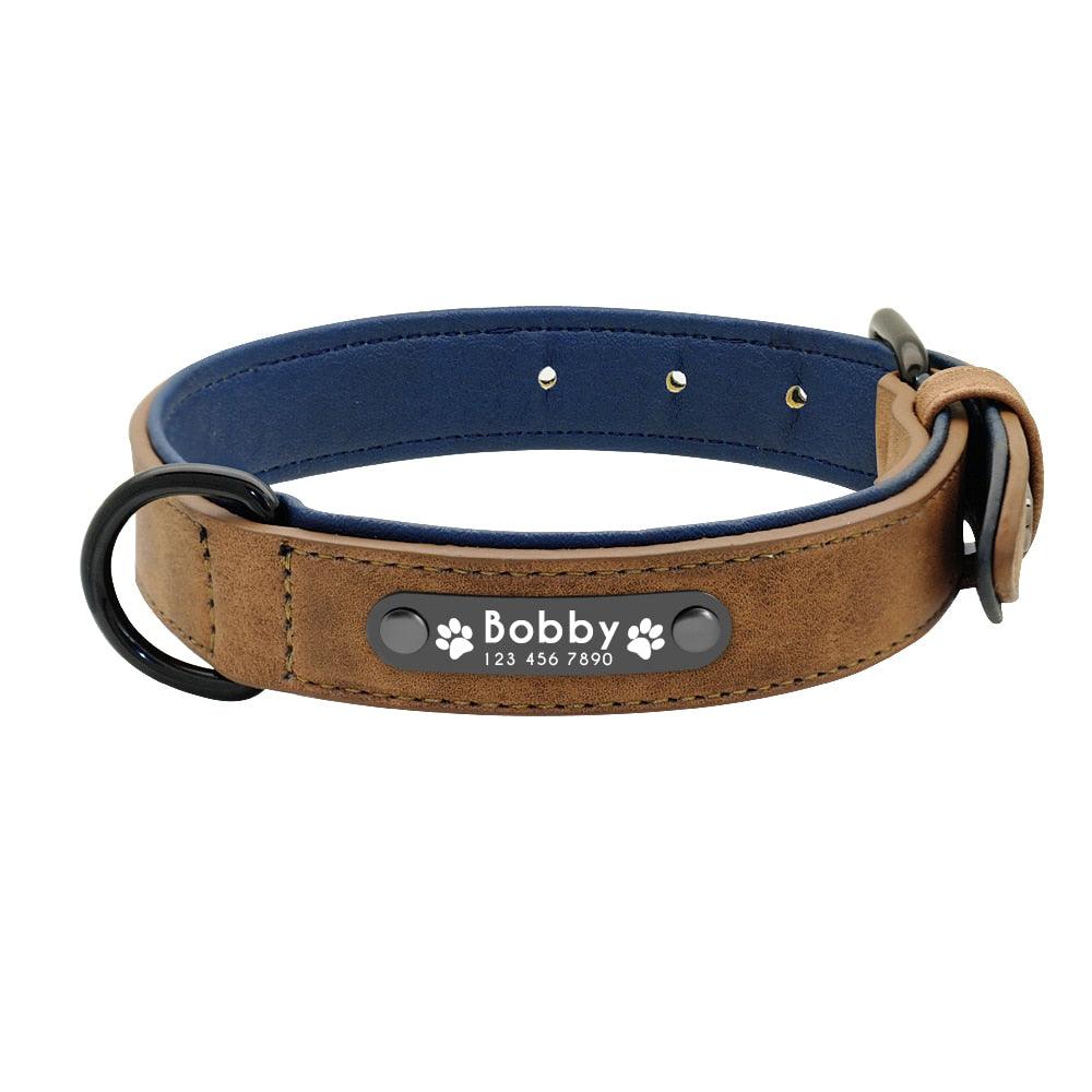 pet store near me  pet shop near me  dog care training collar  cat collar  tag dog  pet tags  pet name tags  pet id tags  personalized dog tags  dog tags for pets  dog tags for dogs  dog tag engraving  dog name tags  dog id tags  custom dog tags for pets  custom dog tags  cat name tag  cat id tags  dog name collar  dog collar with name tag  collar dog