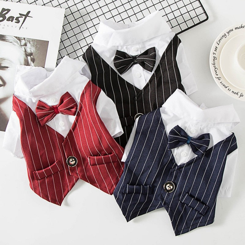 Dog Gentleman Wedding Suit Clothes Formal Shirt Pet Outfit Halloween Christmas Costume For Small Dogs Bowtie Tuxedo - Pet Croc 