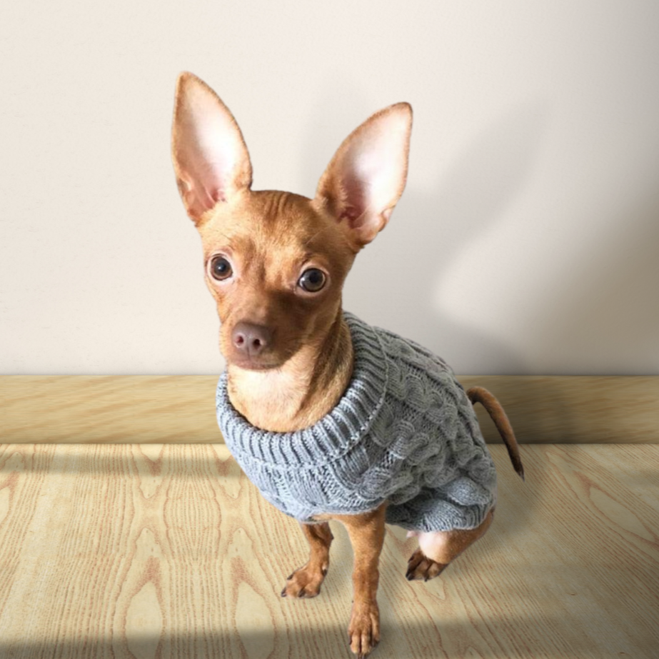 Suéter Aconchegante de Gola Alta Roupa para Cachorro e Gato - Pet Croc 