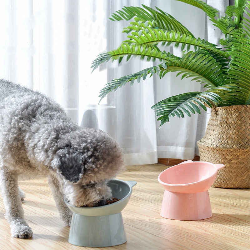 PetisCroc™: Comedouro Ergonômico Para Pets - Pet Croc 