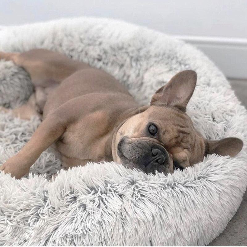 cama redonda de pelinho nuvem para pet