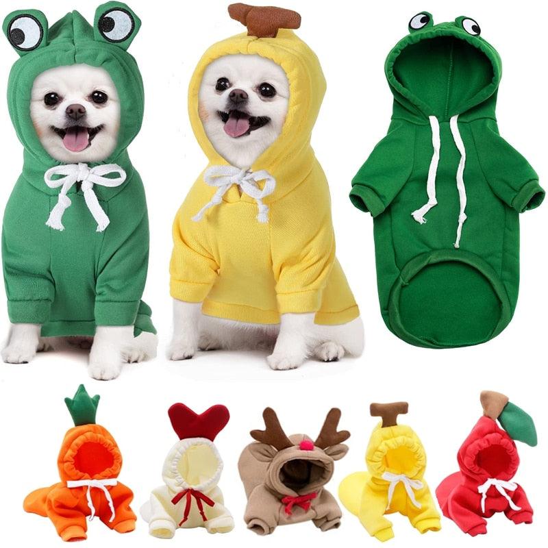 pet halloween costumes  pet costumes  funny halloween costumes  fun costumes  dog halloween costume  pet costumes for dogs  funny dog halloween costumes  funny dog costumes  dogs in halloween costumes  dogs in costumes  dog costume  sweater puppy  sweater trendy  dog sweatshirts  cat christmas sweater  sweatshirt cat  cat sweater  puppy clothes  clothes for pet  matching clothes with dog  dogs in clothes  dog clothes  dog clothes near me  dog clothes designer