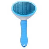 Oval Azul